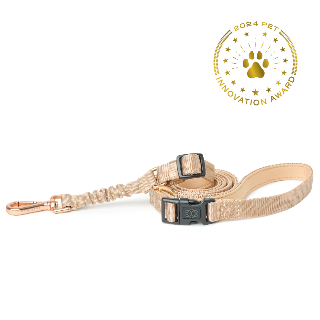 City Dog Leash - Dune
