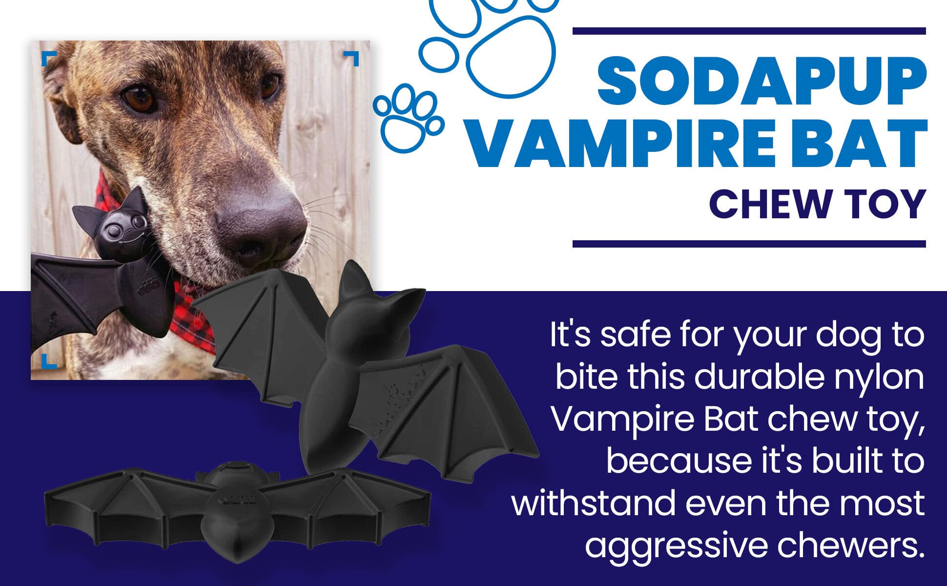 Vampire Bat Dog Chew Toy — Halloween eChew by SodaPup