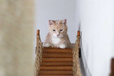The Expedition - Cat Jungle Gym Wall System by Catastrophic Creations