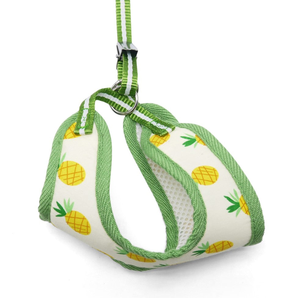 EasyGO Pineapple