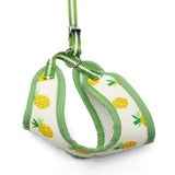 EasyGO Pineapple
