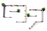 The Gardens - Modern Cat Tree with Plants by Catastrophic Creations