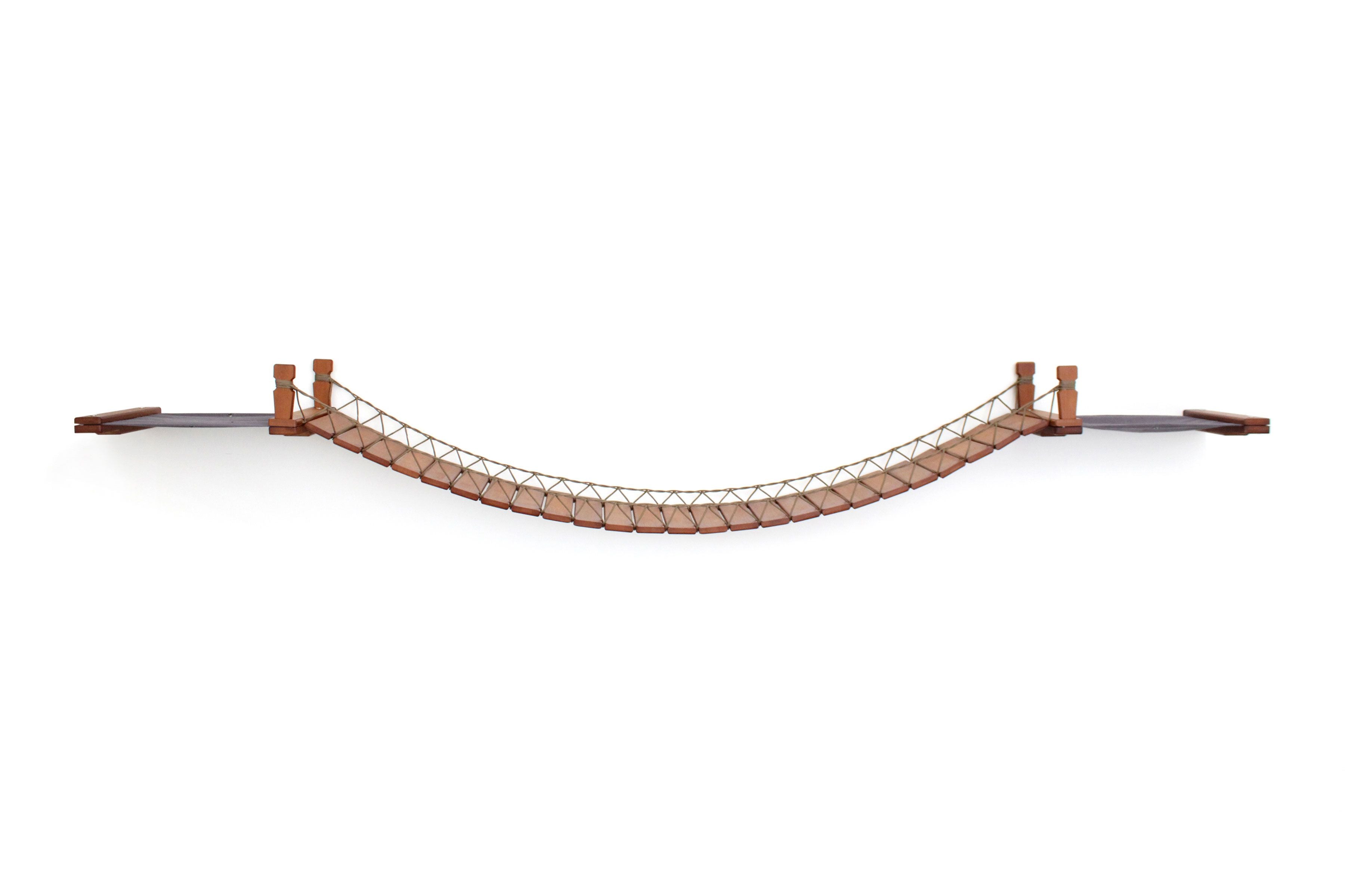 Double Cat Hammock and Climbing Bridge Combo by Catastrophic Creations