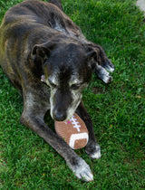 Squeaky Football Dog Toy