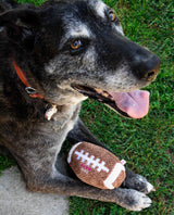 Squeaky Football Dog Toy