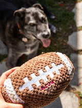 Squeaky Football Dog Toy