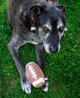 Squeaky Football Dog Toy