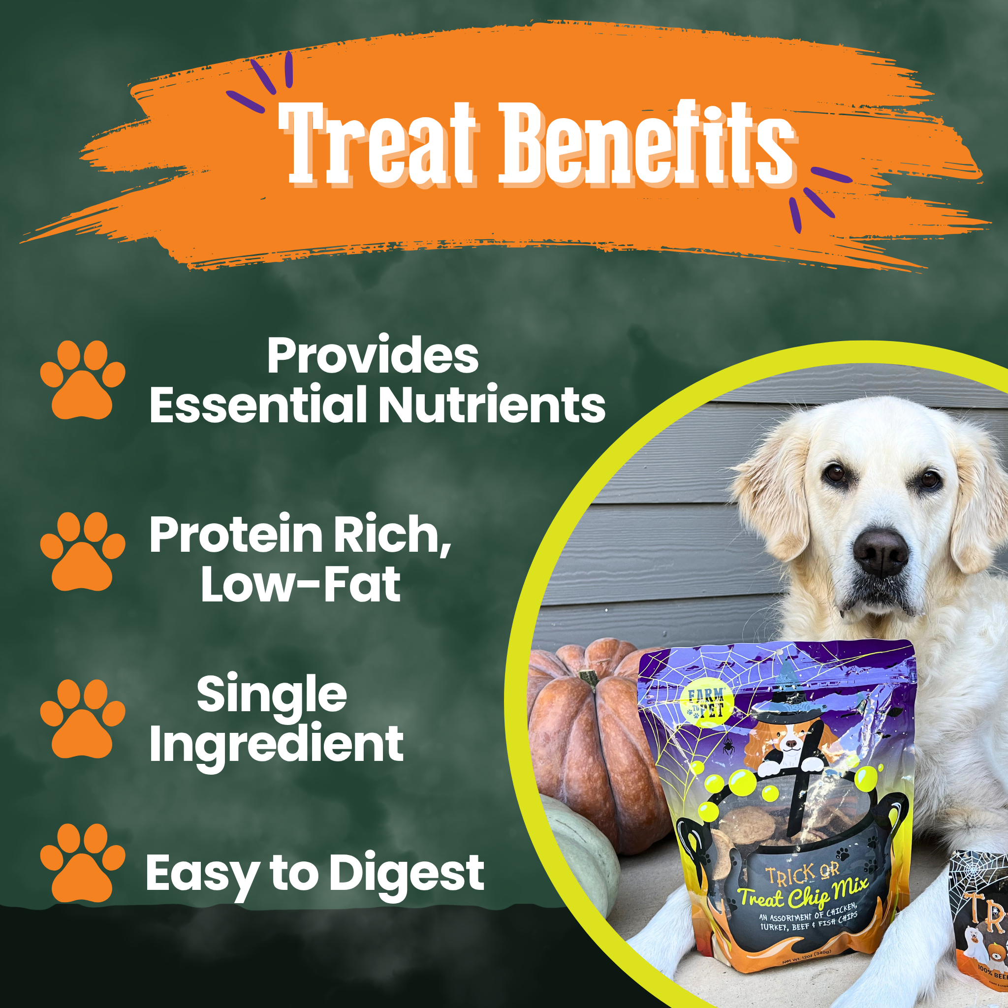 Halloween Trick-or-Treat Dog Treat Mix — Farm To Pet