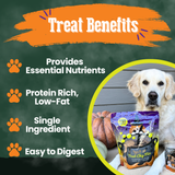 Halloween Trick-or-Treat Dog Treat Mix — Farm To Pet