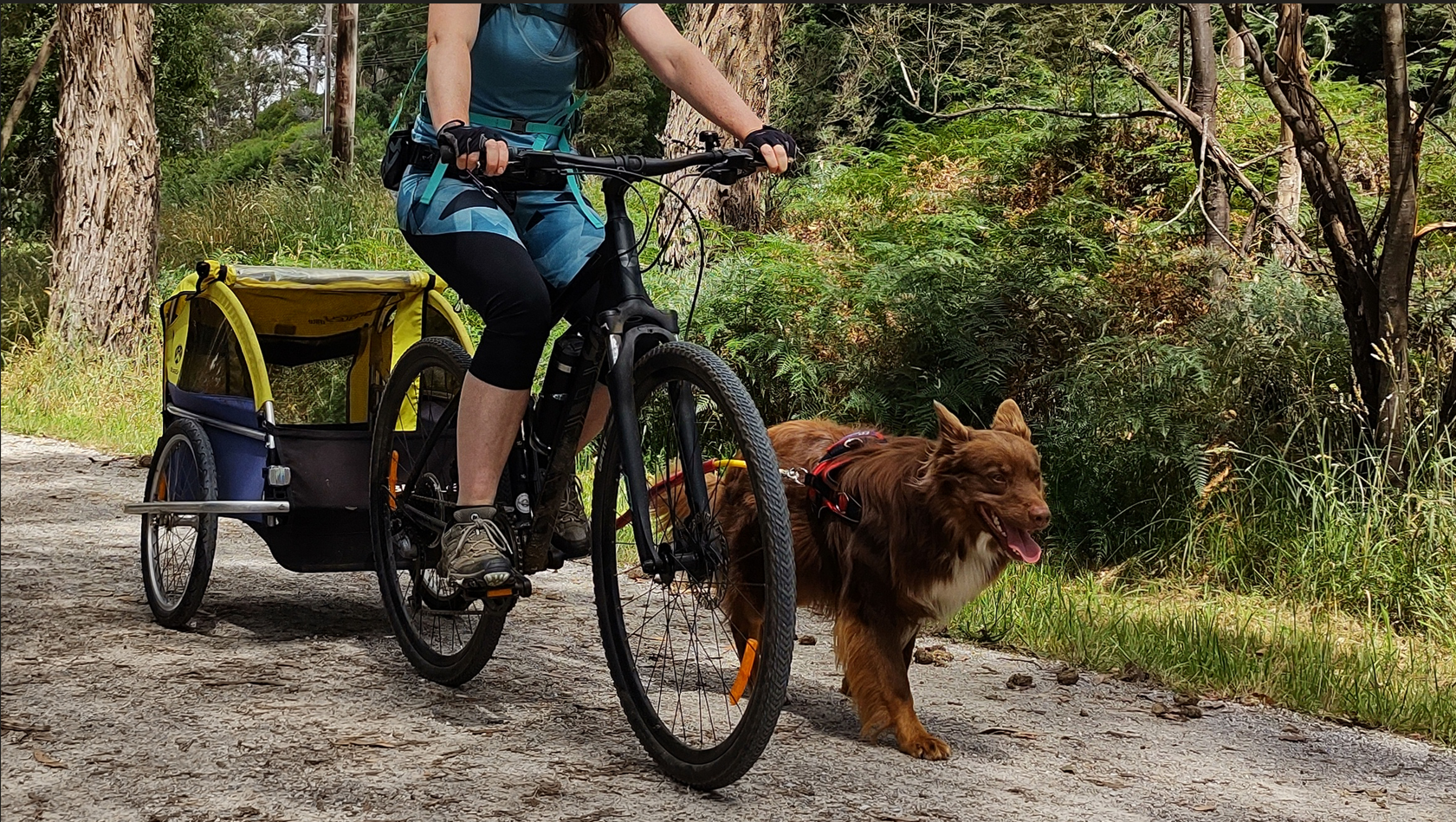 Bike Tow Leash Chain Stay Clamp Package
