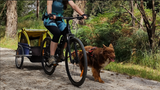 Bike Tow Leash Chain Stay Clamp Package