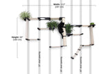 The Gardens - Modern Cat Tree with Plants by Catastrophic Creations
