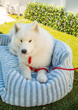 Red Boho Chic Style Dog Leash