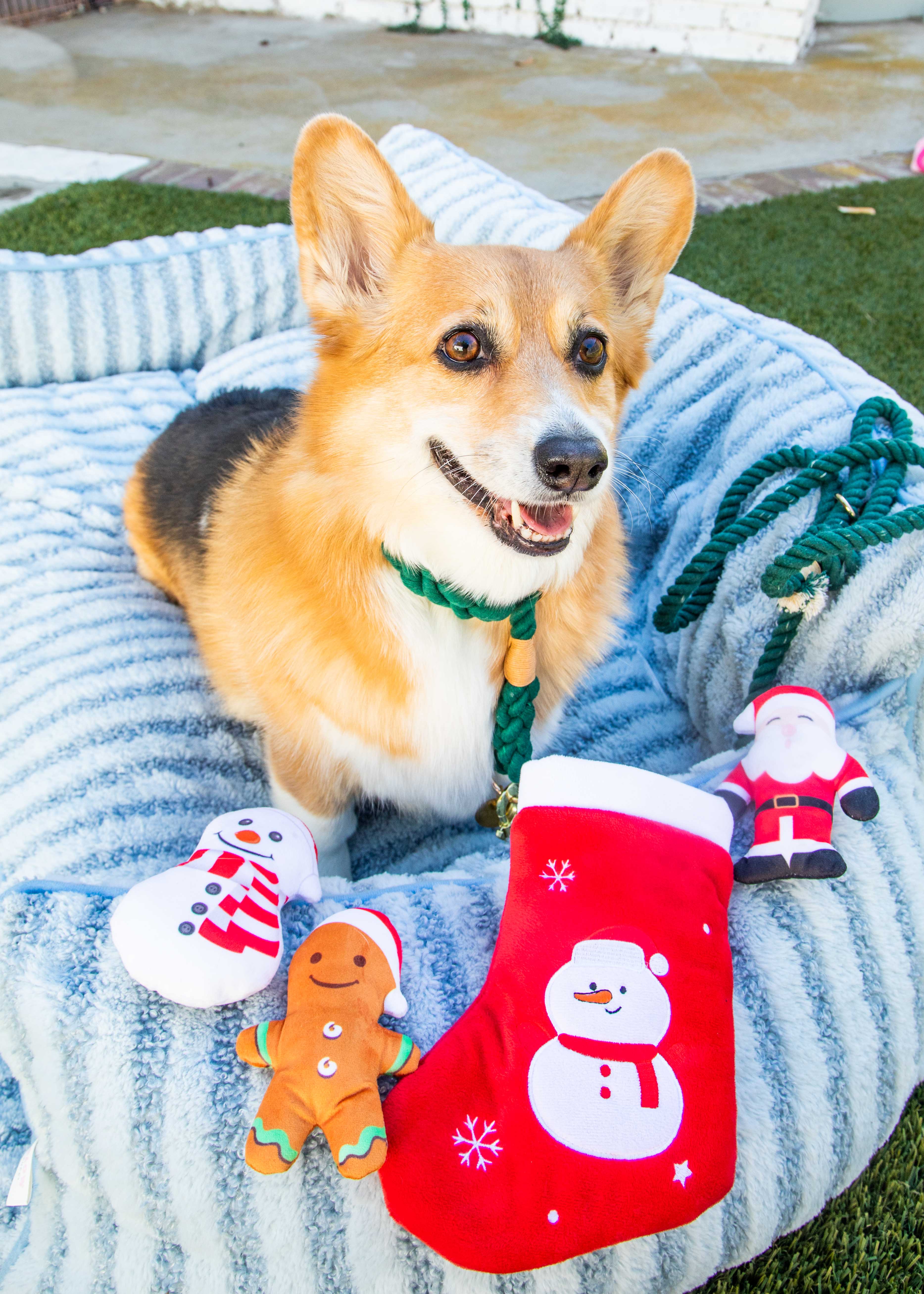 Dark Green Boho Chic Rope Leash