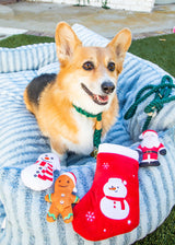 Dark Green Boho Chic Rope Leash