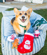 Dark Green Boho Chic Rope Leash