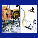 Bike Tow Leash Single Dog Package