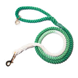 Green Ombre Boho Chic Dog Leash
