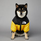 Dog Face Puffer CoatKeep your fur baby warm and fashionable with the luxurious Dog Face Puffer Coat.



The dog jacket is with durable and smooth zipper, easy to dress and take off. TheDog Face Puffer Coat