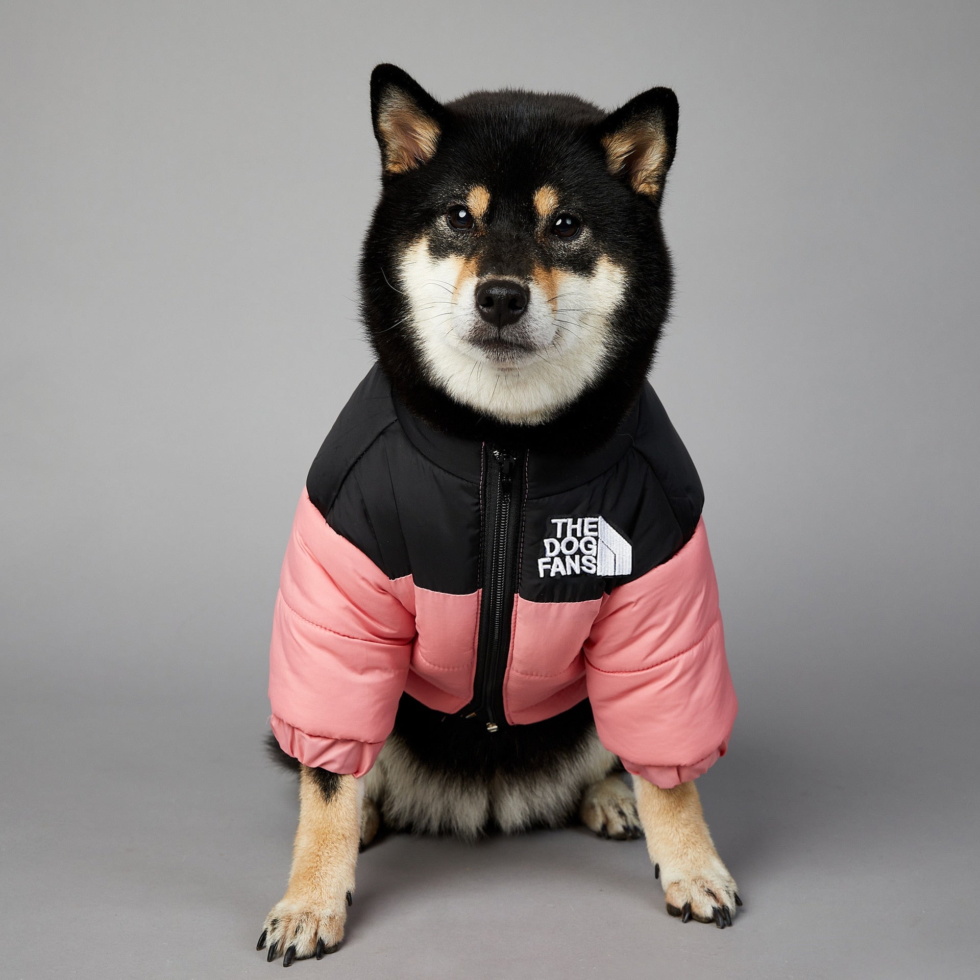 Dog Face Puffer CoatKeep your fur baby warm and fashionable with the luxurious Dog Face Puffer Coat.



The dog jacket is with durable and smooth zipper, easy to dress and take off. TheDog Face Puffer Coat