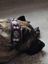 The "Hektor" Burgundy Collar LIMITED