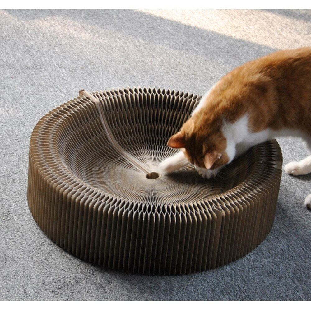 Magic Organ Cat Scratching BoardWhy A Cat Needs A Scratching Board：It destroys your furniture, punctures its own pads when sharpening nails, and is often boring when you're not home without enemiesMagic Organ Cat Scratching Board