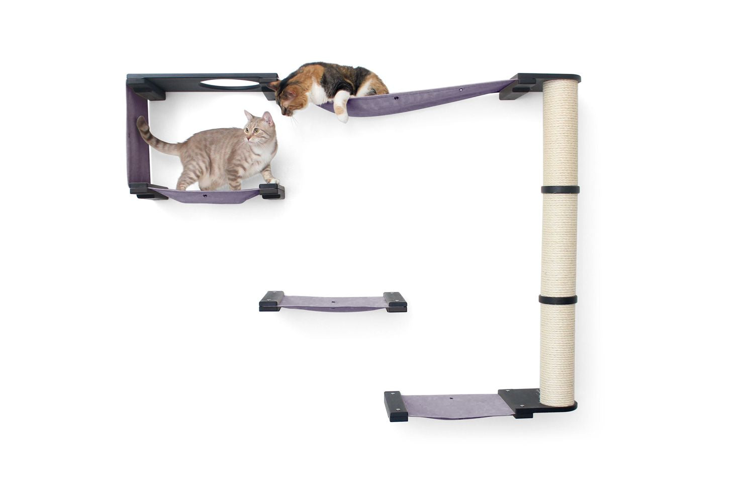 The Climb Condo - Cat Wall Climbing System by Catastrophic Creations