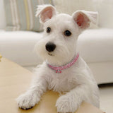 Bling Crystal Dog Collar Diamond Puppy Pet Shiny Full Rhinestone Neckl【Bling Pet Collar Set】This fabulous pet collar is adorned with glistening rhinestones and a metal crystal pendant. It's ideal for special occasions, whether you're dBling Crystal Dog Collar Diamond Puppy Pet Shiny Full Rhinestone Necklace Collar Collars