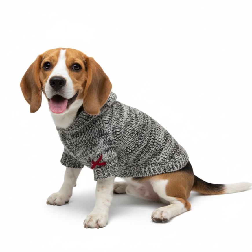 Hoodie Sweater Coat