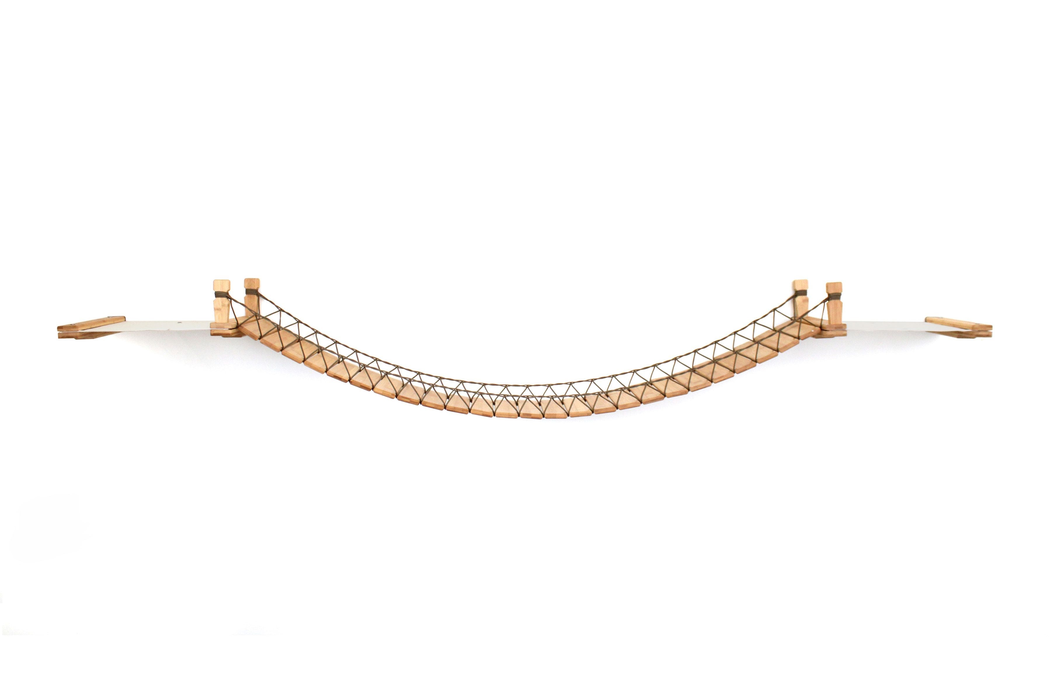 Double Cat Hammock and Climbing Bridge Combo by Catastrophic Creations