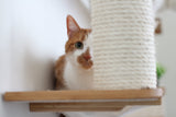 The Bunker - Multi Level Cat Tree with Perch by Catastrophic Creations