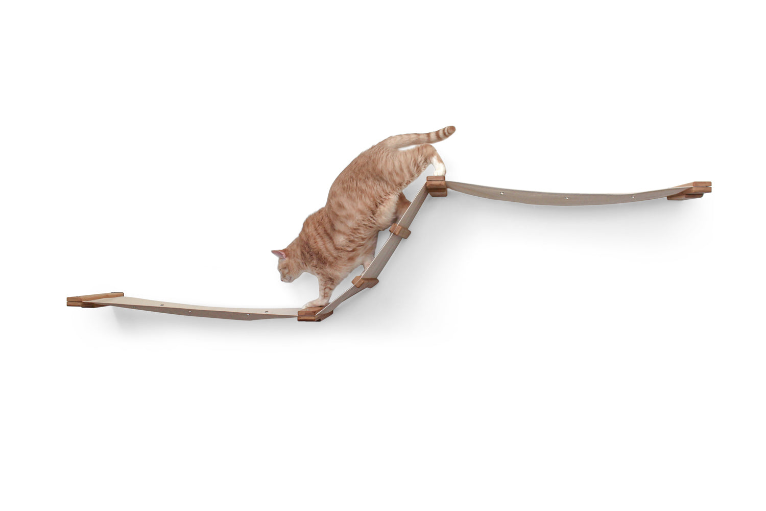 The Raceway - Wall Mounted Cat Hammock by Catastrophic Creations