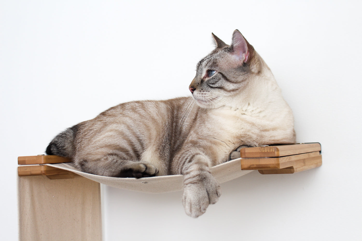 The Double Decker - Cat Hanging Bed Set by Catastrophic Creations