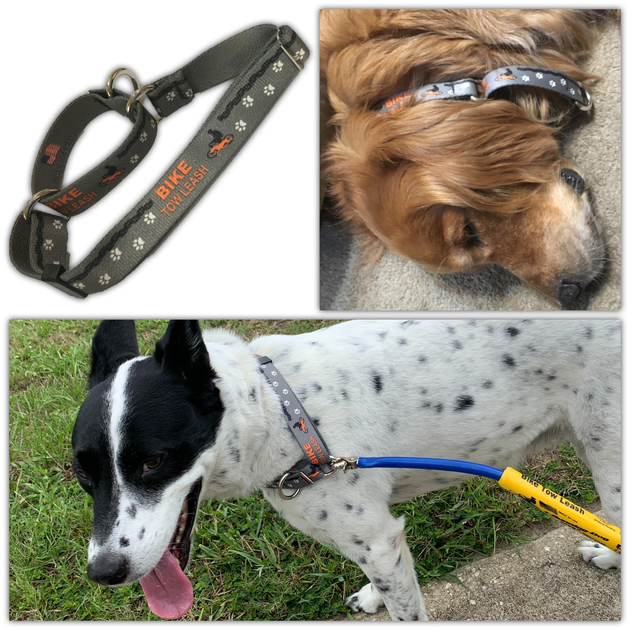 Bike Tow Leash Double Dog Package