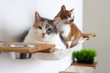 The Bunker - Multi Level Cat Tree with Perch by Catastrophic Creations