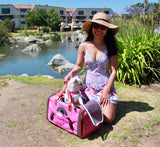 Mr. Peanut's Gold Series Standard Size Airline Compliant Pet Carrier