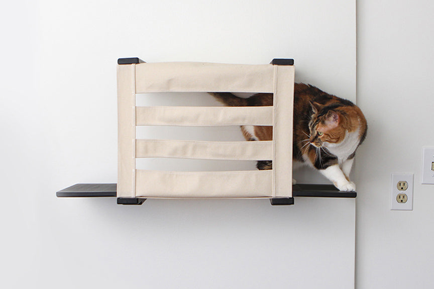 Cat Cubby for Wall - Covered Cat Bed by Catastrophic Creations