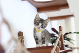 The Juggernaut - Indoor Cat Playground for Wall by Catastrophic Creations