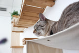 The Temple - Giant Cat Tree on Wall by Catastrophic Creations