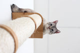 Wall Mounted Cat Climbing Pole - Sisal by Catastrophic Creations