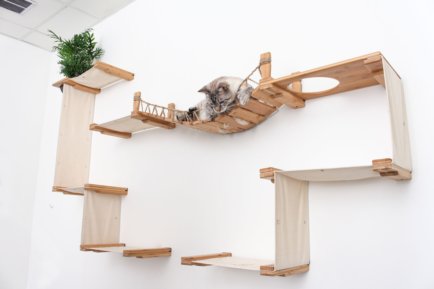 The Temple - Giant Cat Tree on Wall by Catastrophic Creations