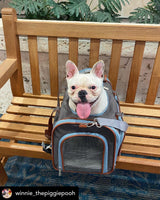 Mr. Peanut's Gold Series Big Apple XL Size Airline Compliant Expandable Pet Carrier