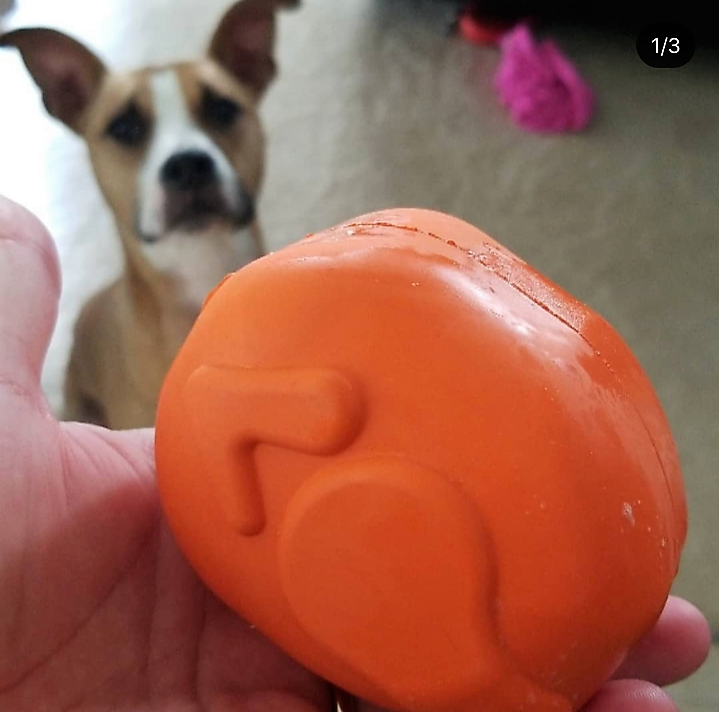 Roasted Turkey Rubber Treat Dispenser | USA Made | SodaPup