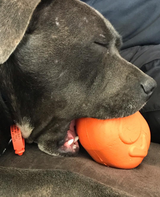 Roasted Turkey Rubber Treat Dispenser | USA Made | SodaPup