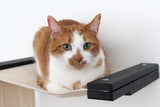 The Play - A Cat Play Wall System by Catastrophic Creations