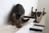 The Canyon - Our Best Cat Tree for Multiple Cats by Catastrophic Creations