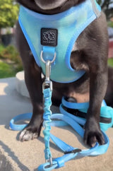 3-in-1 City Dog Leash - Ocean