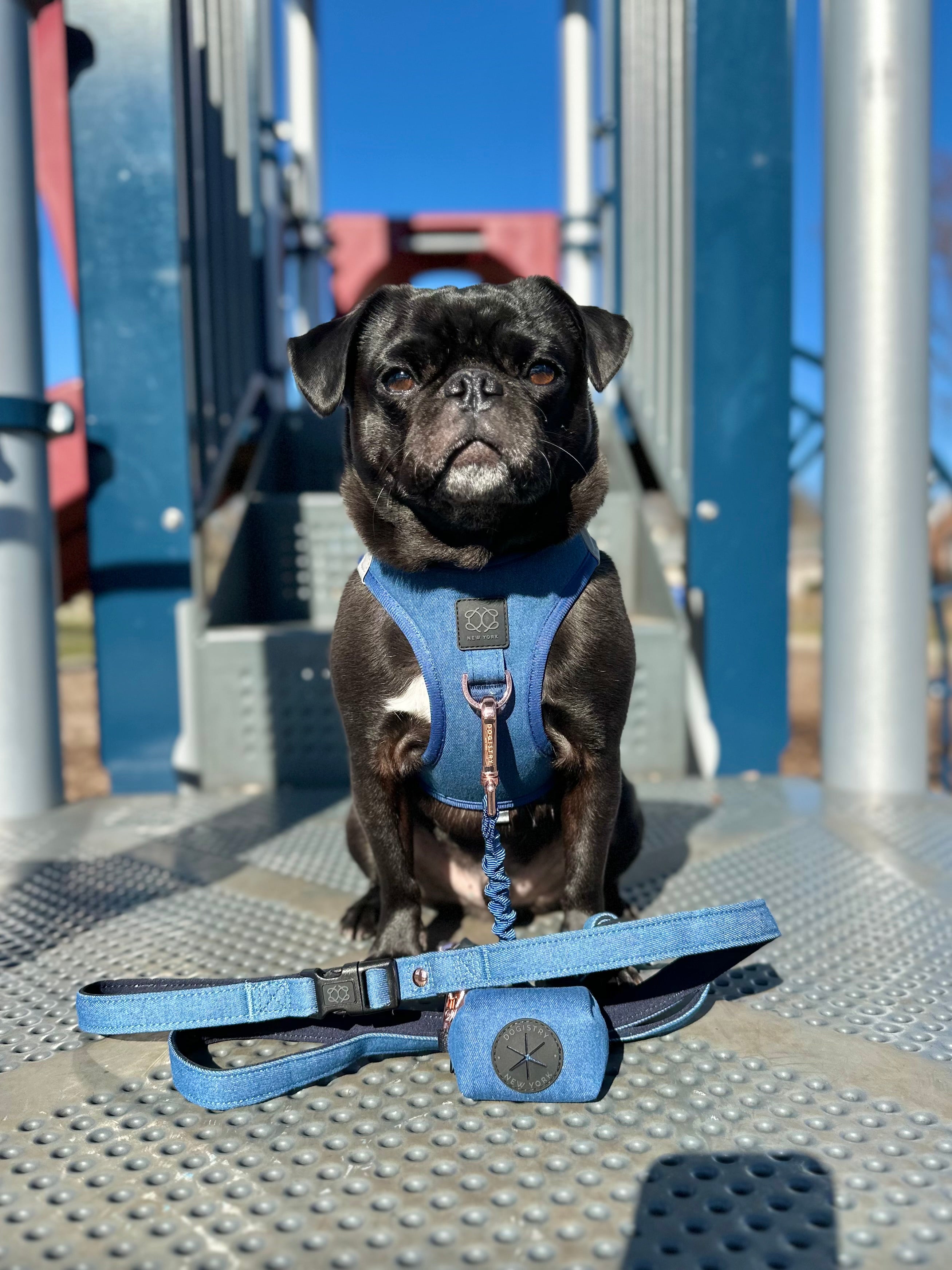 City Dog Leash - Denim