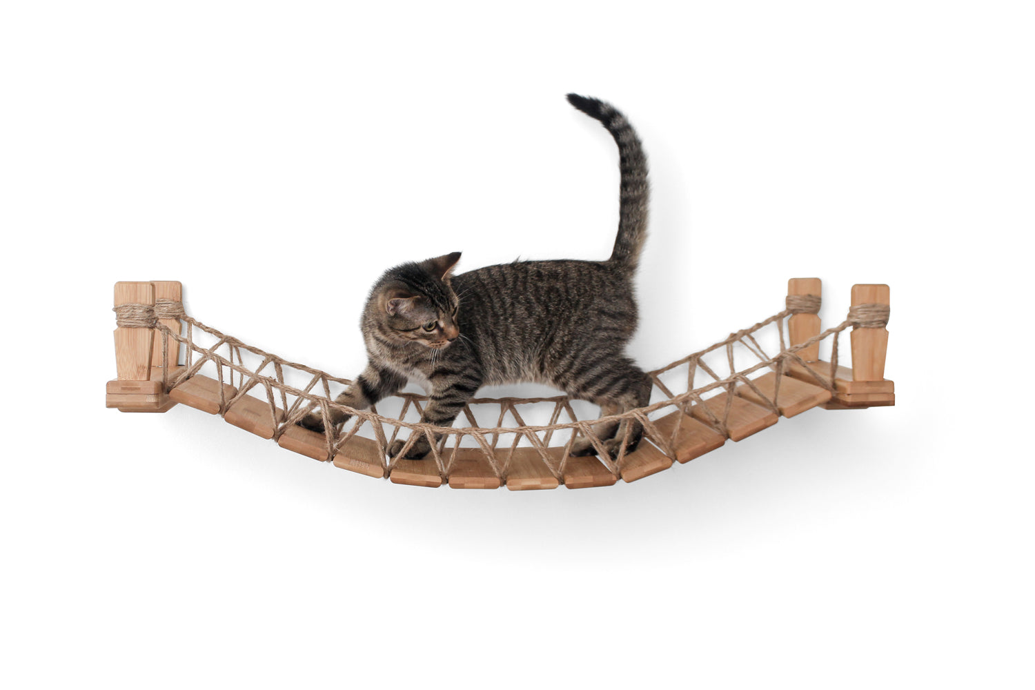 Cat Bridge for Wall by Catastrophic Creations