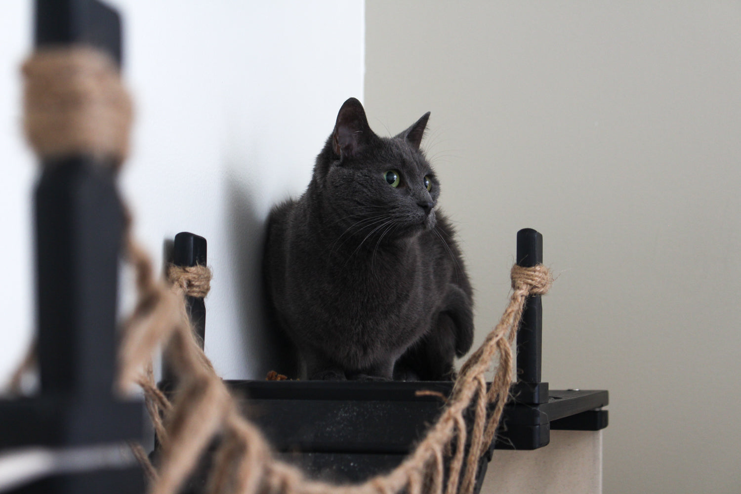 The Temple - Giant Cat Tree on Wall by Catastrophic Creations